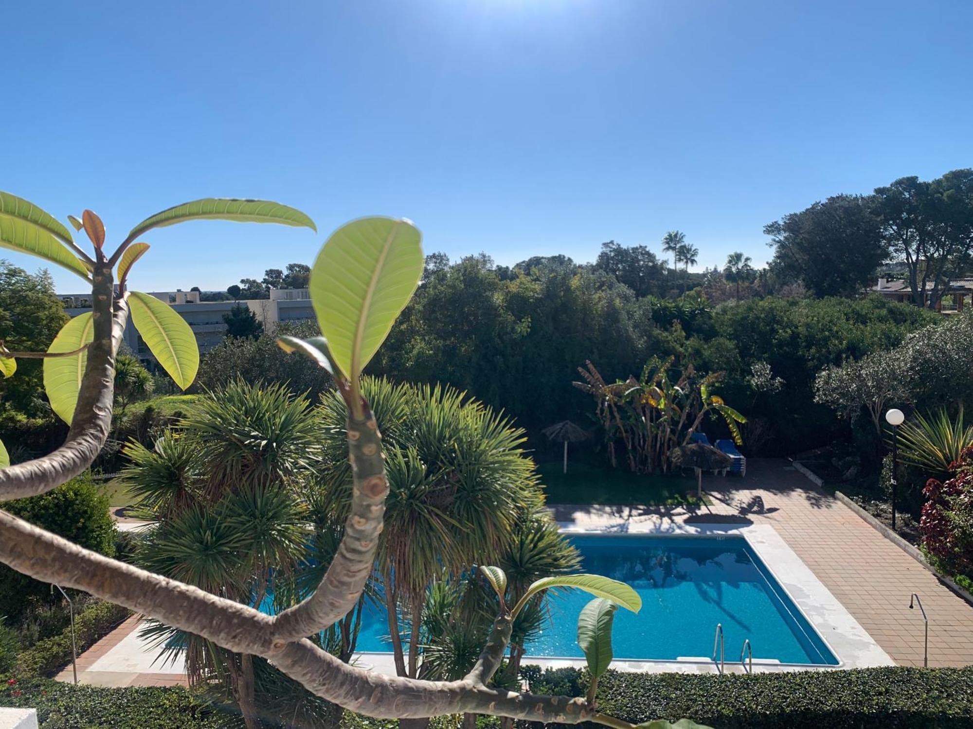 Sotogrande Duplex Near Polo, Best Pool View, 2 Pools, Full South, 7 Drive To Beaches And Port Exterior foto